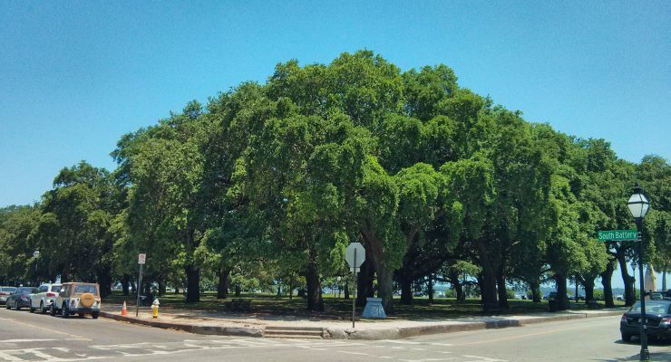The corner of White Point Garden at the corner of King Street and South Battery. Not White Point Gardens, not Battery Park. White Point Garden -- no "s."