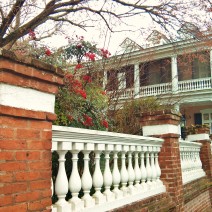 Berries brighten up an 1850's Charleston house and wall on a winter day