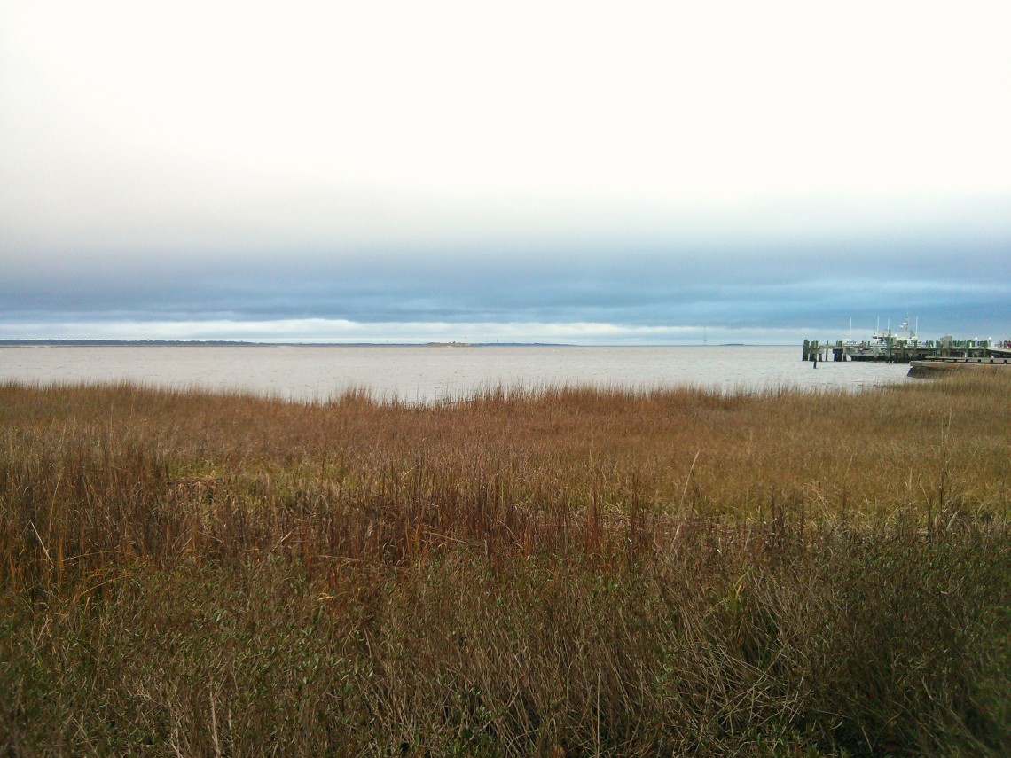 A wintry view of Charleston Harbor, including Shute's Folly and Castle Pinckney