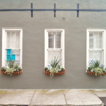 Beautiful blooming flower boxes can be found year round in Charleston, SC.
