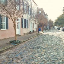 The cobblestone streets of Charleston, SC are incredibly picturesque.