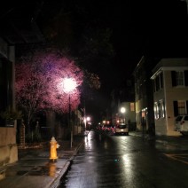 A light rain added even more magic to the Charleston, SC night.