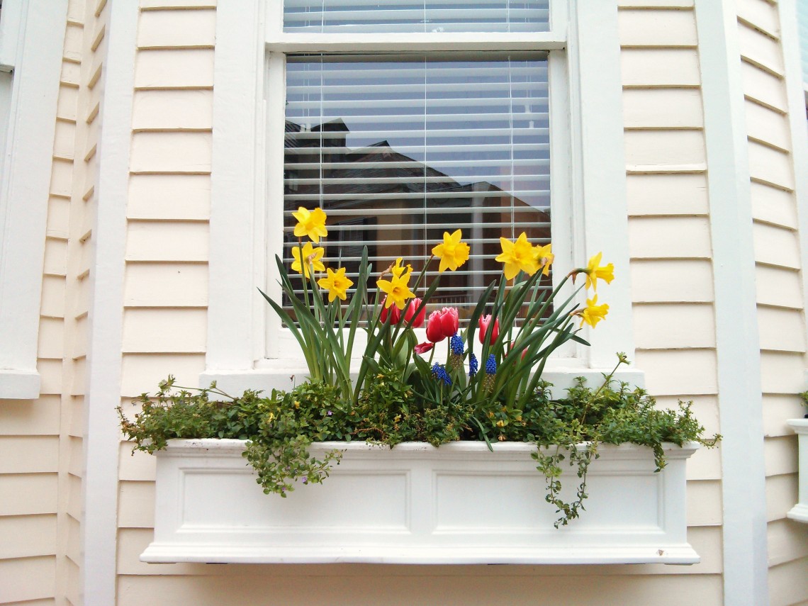 A beautiful Charleston, SC flower box with historic reflections behind it.