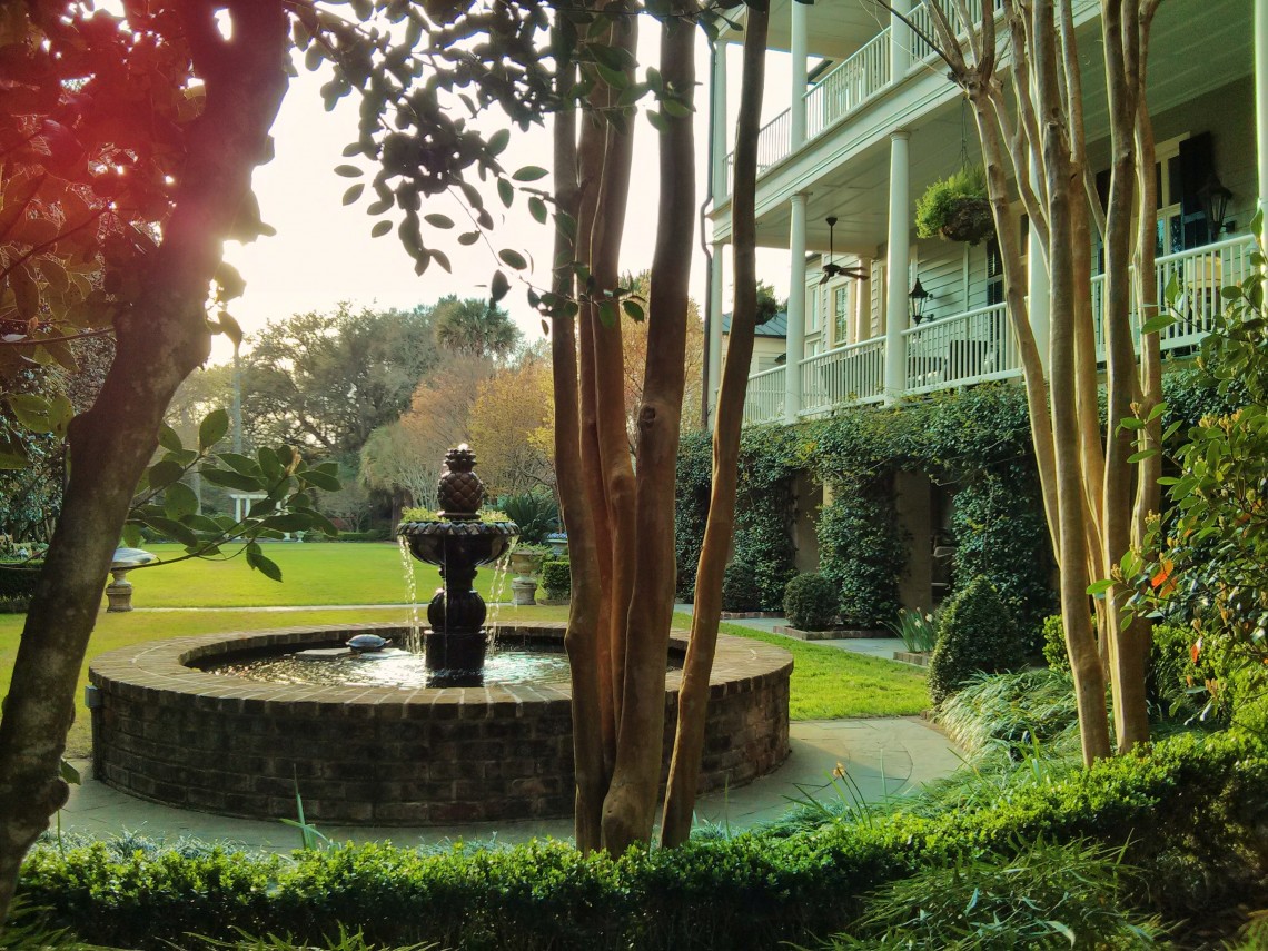 Charleston is famous for its gardens. It's not hard to see why.
