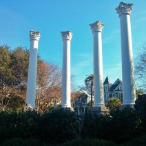 The old Charleston Museum burned down in 1981. These columns are all that remain.