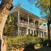 A beautiful Charleston house glowing in the shaded light from a Live Oak tree.