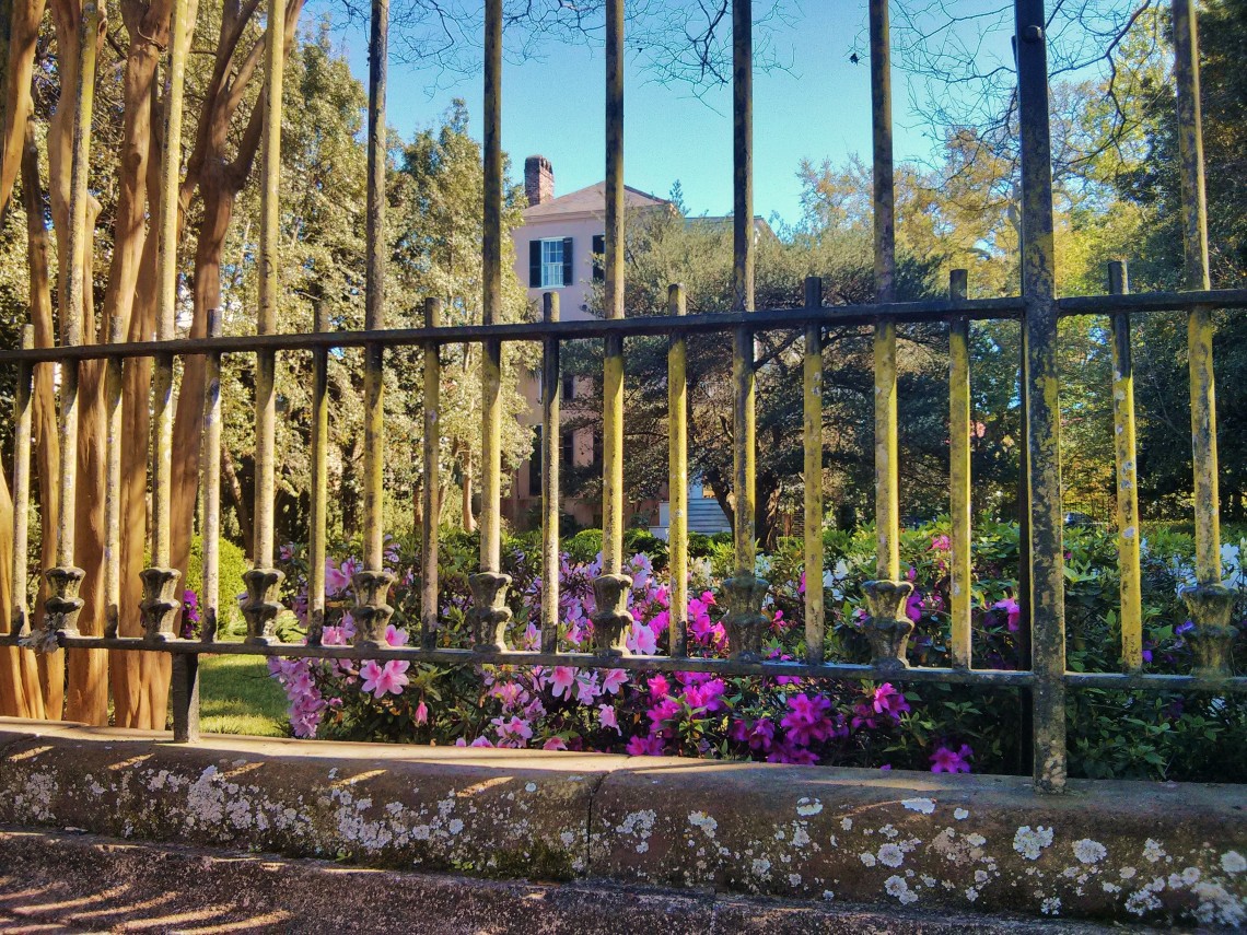 Azaleas, ironwork and a beautiful house = Charleston, SC.