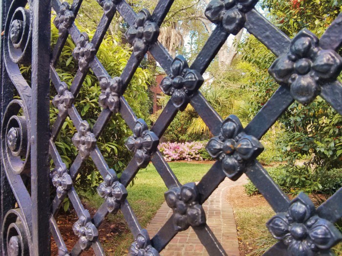 Iron and azaleas -- two beautiful Charleston items. A view through a gate.