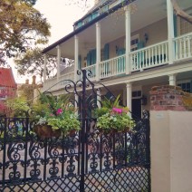 Ironwork, flowers, masonry and stucco wall, piazzas on a Charleston single house... there only one place in the world like this.