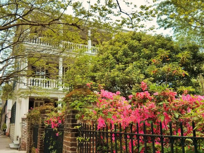 The azaleas in Charleston are always beautiful... even more so when set against an iron fence and a wonderful house.