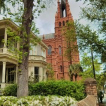 Azaleas in bloom make beautiful Broad Street in Charleston, SC even more beautiful.