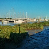 Low tide and the early morning sun at the Charleston City Marina.