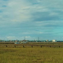 A different view of the peninsula of Charleston, SC -- across the marshes and river from James Island.... all the way to the Ravenel Bridge.
