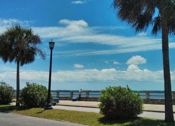 There are many beautiful places to fish in Charleston, SC, but along the Battery is one of the prettiest.