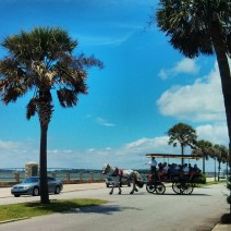 This looks like a pretty nice thing to be doing on Mother's Day in Charleston, SC.