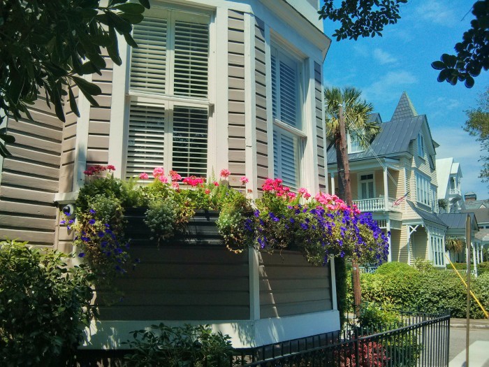 Beautiful flowers and beautiful homes on Broad Street in Charleston, SC.