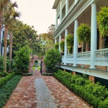 Even the driveways in Charleston, SC have a special quality about them.