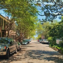 One of the remaining cobblestone streets in Charleston, heading down to the water where the wharfs once were... and where the ships that used the stones for ballast once tied up.