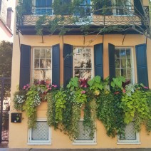 Amazing window boxes in Charleston, SC... on an amazing house.