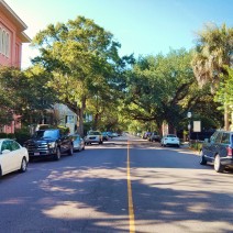 One of the main streets in downtown Charleston, SC, is Meeting Street. Some of the most amazing houses in the city are found on this stretch.