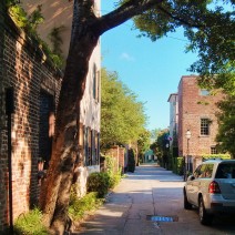 One of the charms of Charleston, SC is the number of beautiful alleys that run through the historic downtown. This one provides a bit of shade of a hot summer day.