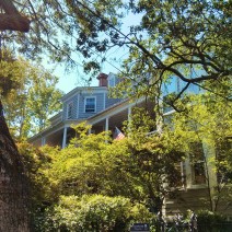 The historic houses in Charleston, SC are wonderfully beautiful.