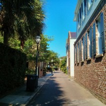Lamboll Street in Charleston, SC is a charming two block long street. This section is referred to as "Little Lamboll," due to it being a narrow one way passage.