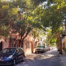 With all the summer heat in Charleston, SC, it is good to find a shady street to stroll on. Tradd Street is a wonderful combination of beauty and shade.