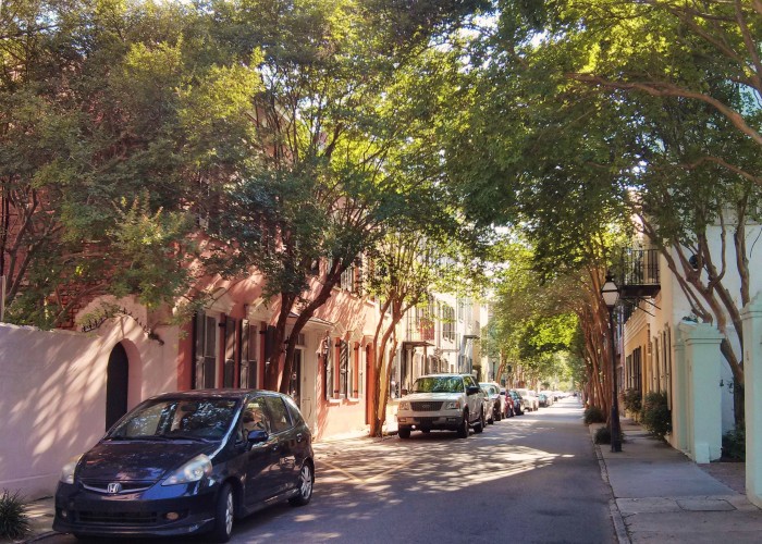 With all the summer heat in Charleston, SC, it is good to find a shady street to stroll on. Tradd Street is a wonderful combination of beauty and shade.