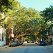 This stretch of Church Street in Charleston, SC is famously known as Cabbage or Catfish Row, as it was referred to in Porgy & Bess.