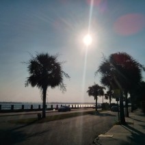 It's been a hot summer in Charleston, SC. Some sizzling sun along the Low Battery on the Ashley River.