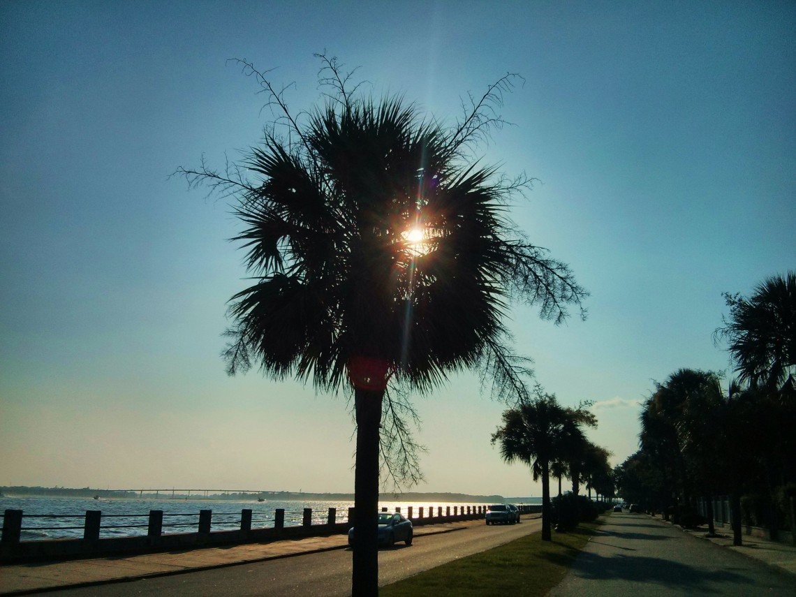 On a very hot, sticky day, the sun starting to go down along the Low Battery in Charleston, SC.