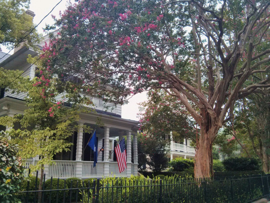 A magnificent Crepe Myrtle tree frames a classic all-American house and flags on Tradd Street in Charleston, SC.