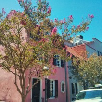The Pink House (yes, that's its name) in Charleston, SC is the oldest building in Charleston and one of the oldest in SC.