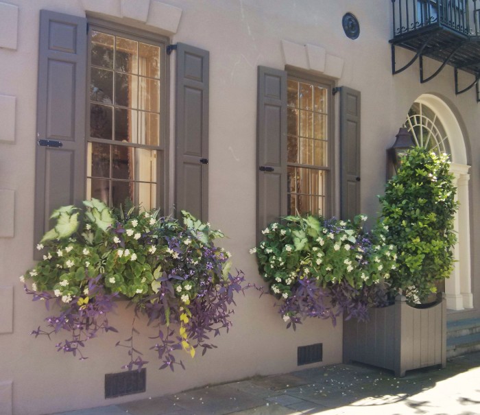 Just because it is officially fall in Charleston, SC, it doesn't mean the flowerboxes aren't thriving.