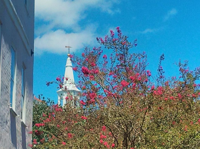 Fall colors in Charleston, SC are still found in the flowering blooms of the trees and plants. Here the steeple of St. Michael's Church peeks up behind a Crepe Myrtle tree.