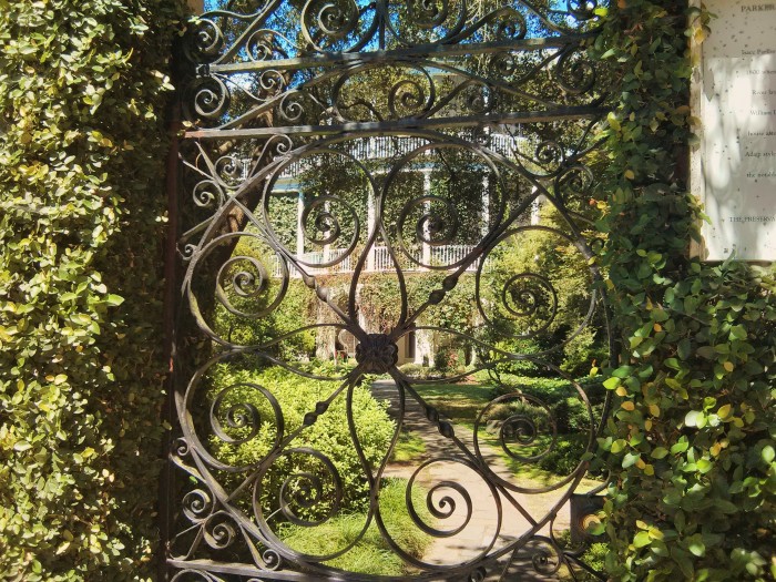 This is one of the prettiest combinations of a beautiful wrought iron gate and a gorgeous Charleston house.
