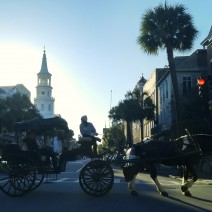 Early evening is a lovely time to take a carriage ride in Charleston, SC