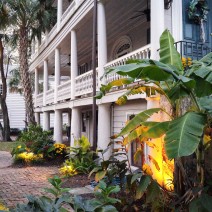A very Charleston garden lighting up as the sun sets.