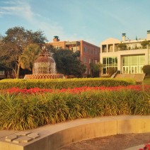 The pineapple fountain in Waterfront Park in Charleston, SC is one of the favorite spots for both locals and visitors.