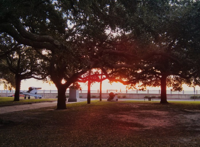 The view of the sun rising over the High Battery in Charleston, SC as seen from within the Live Oak trees of White Point Garden.