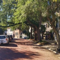 This part of Church Street in Charleston, SC used to be an actual creek... and this is where boats used to tie up. It's now one of the great streets on which to take a stroll.