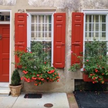 One of the wonderful combination of flower-boxes, doors and shutters on a colonial era building in Charleston, SC.