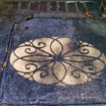 The beauty of Charleston, SC can be found everywhere... even underfoot.