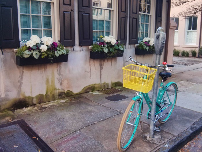A beautiful Charleston, SC scene... in an increasingly bike friendly city.