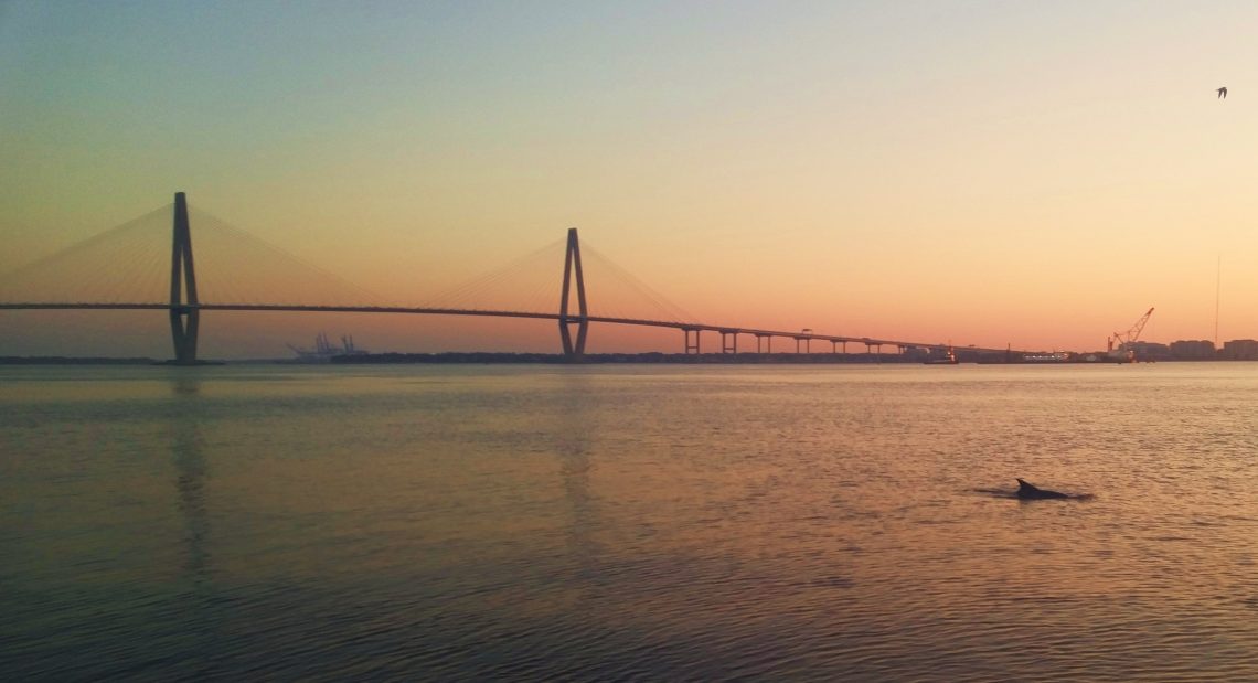 Pre-dawn on the Cooper River in Charleston. The beautiful bridge and a wonderful dolphin.