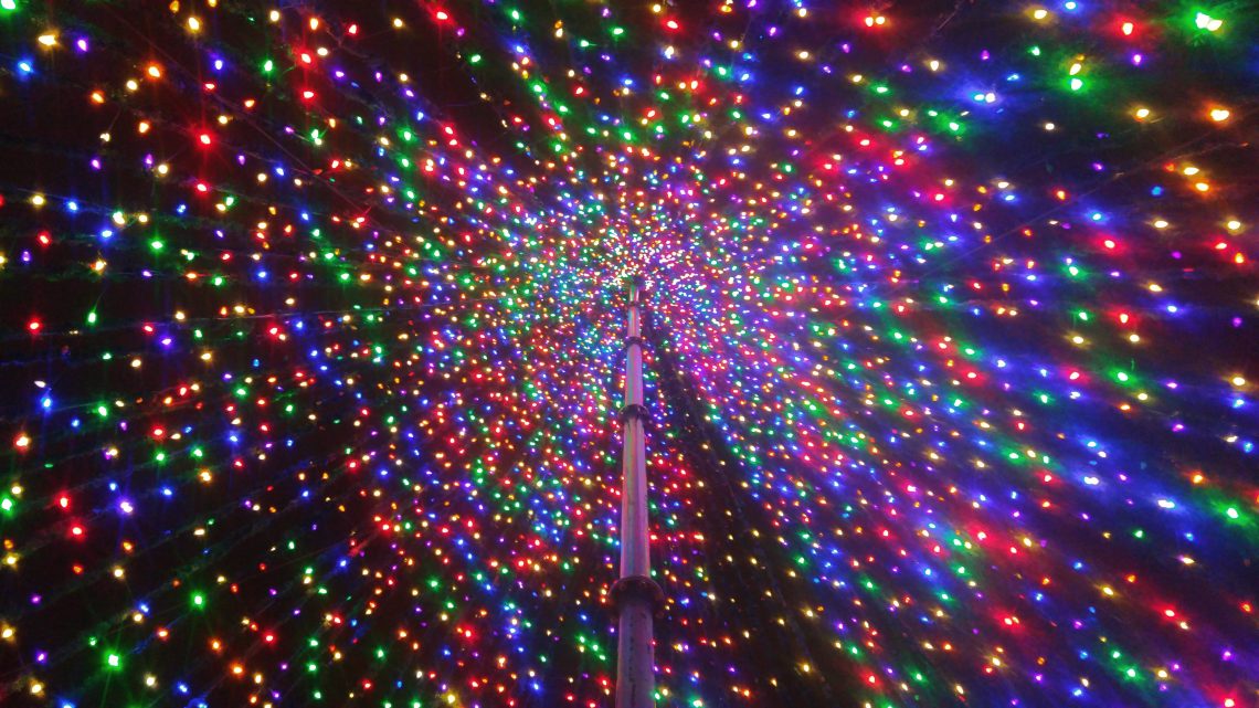 The Charleston Christmas "Tree" on Marion Square is created each year out of lights. The cool thing is that you can go inside it and experience it from this unusual perspective.