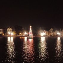 One of the coolest Christmas trees in Charleston is this one made of lights which lives in the middle of Colonial Lake.