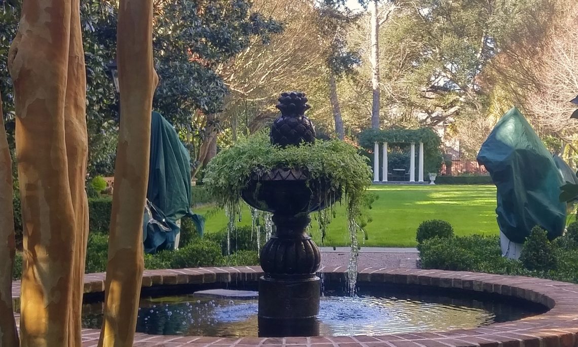 On January 2nd, the temperature reached a record 81 degrees in Charleston. On January 8th, it was in the 20's and this beautiful fountain was icy. Crazy Charleston weather.