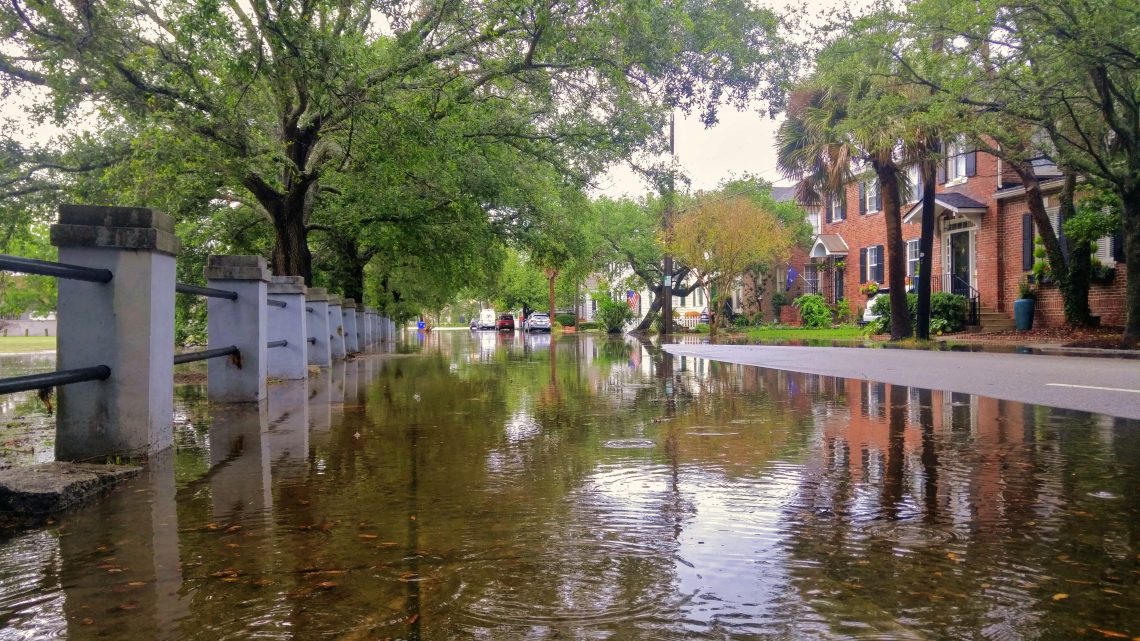 When it rains really hard in Charleston, it floods. As hard as they try to prevent it, it happens... it's just a reality of living in the Lowcountry. Ashley Avenue is a prime spot for pop-up lakes.
